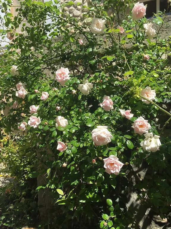 Hébergement de vacances Gites de La Croix du Gres Valaurie